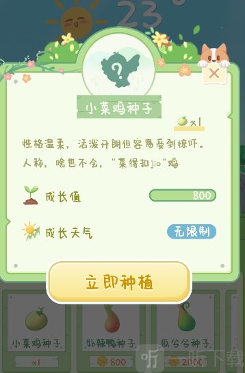 菜宠天气预报