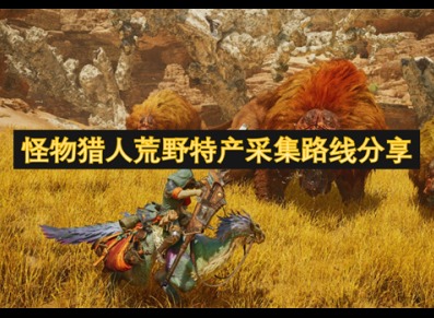 怪物猎人荒野特产采集路线分享 怪物猎人荒野特产采集路线攻略
