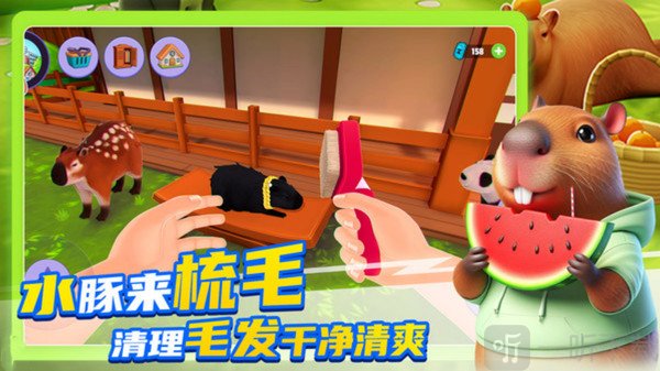 卡皮巴拉养成