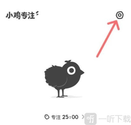 小鸡专注学习