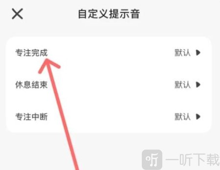 小鸡专注学习