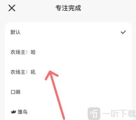 小鸡专注学习