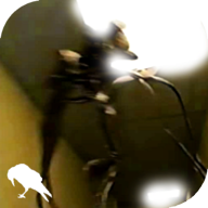 暗房