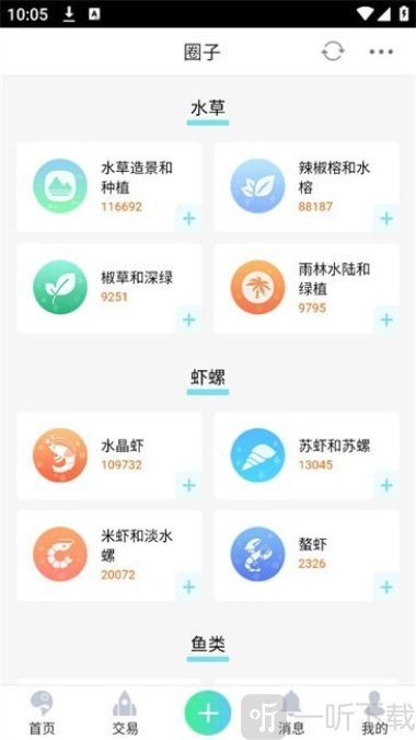 泡泡水族