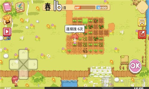 公主的农场故事汉化修改版