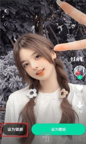 哈屏壁纸免费版