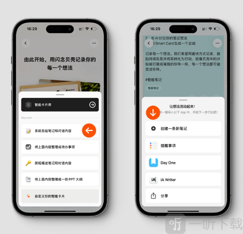 闪念贝壳