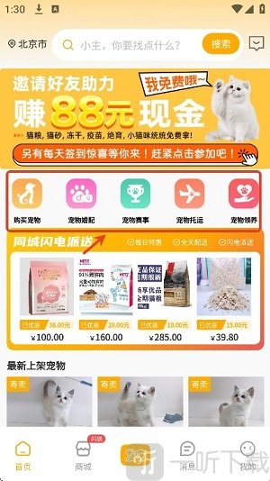 喵鑫球宠物