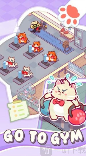 猫咪健身房