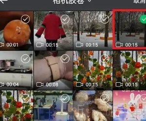 皮皮桌面壁纸免费版