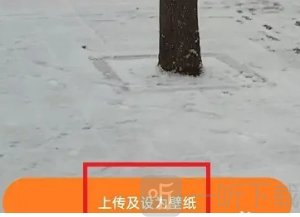 皮皮桌面壁纸免费版