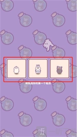 动物游轮