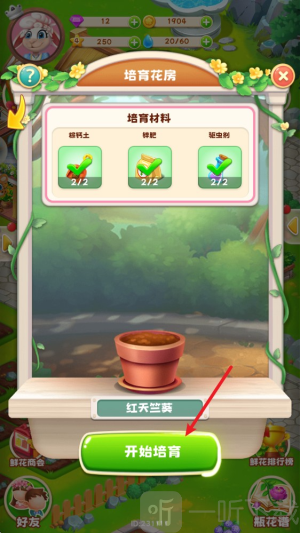 动物花店