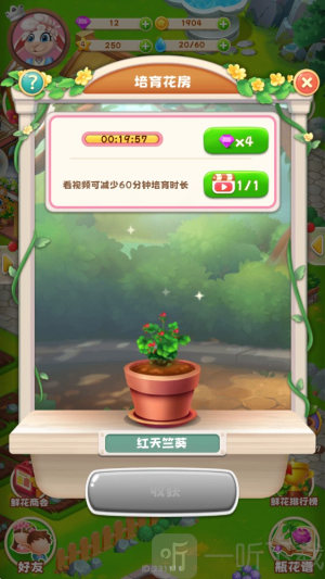 动物花店