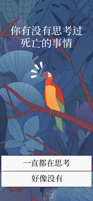 Bird Alone