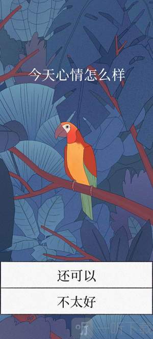Bird Alone
