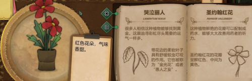 奇异园艺