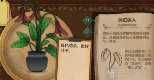 奇异园艺