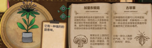 奇异园艺
