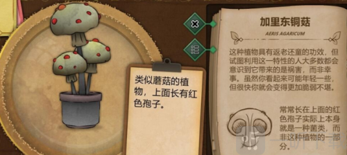 奇异园艺