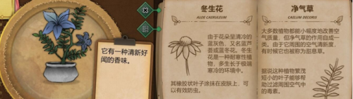 奇异园艺