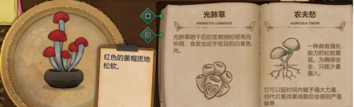 奇异园艺