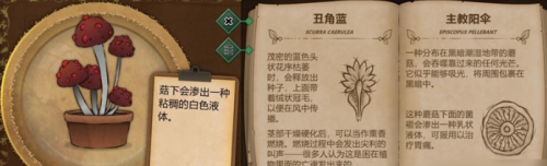 奇异园艺
