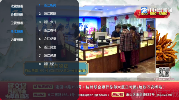 白糖视界