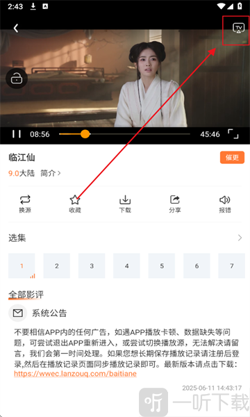 白天鹅