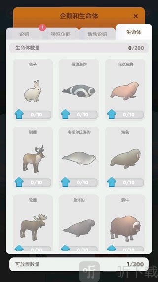 企鹅岛国际服