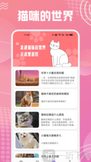 开心猫舍喵语