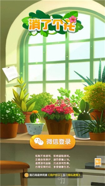 消了个花