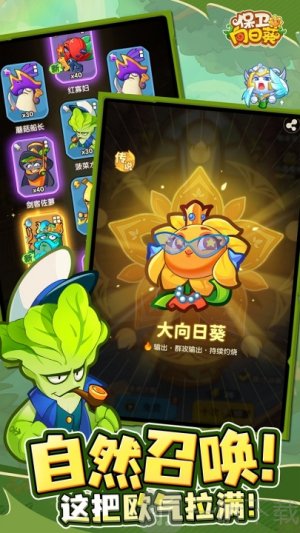 保卫向日葵