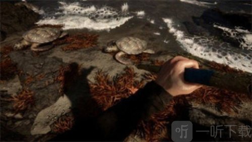 森林2森林之子