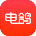 電鴿