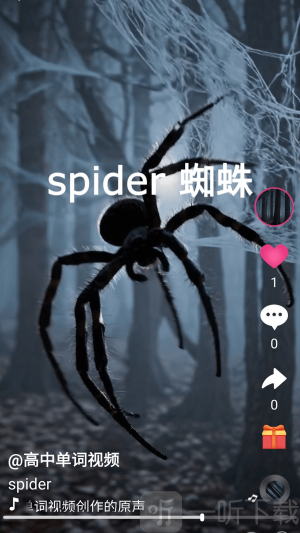 刷单词手机版