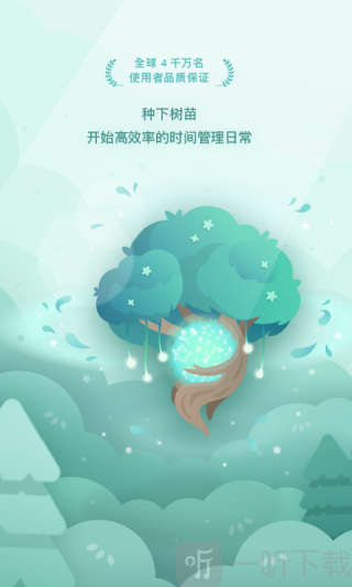 专注森林