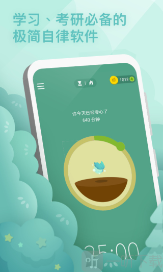 专注森林