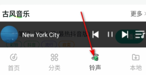 西瓜免费音乐