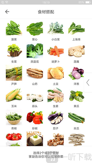 掌厨网