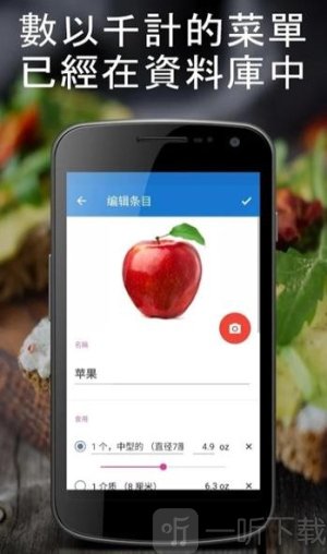 食物日记
