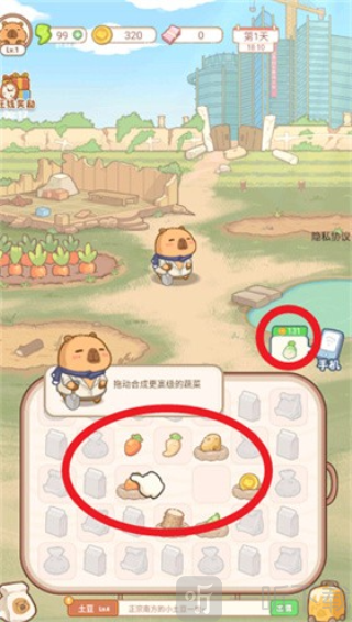 慢豚豚生活