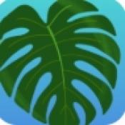 植物疗愈纽约时光