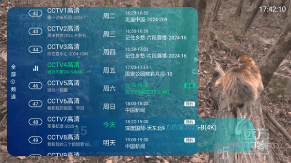 萍萍TV