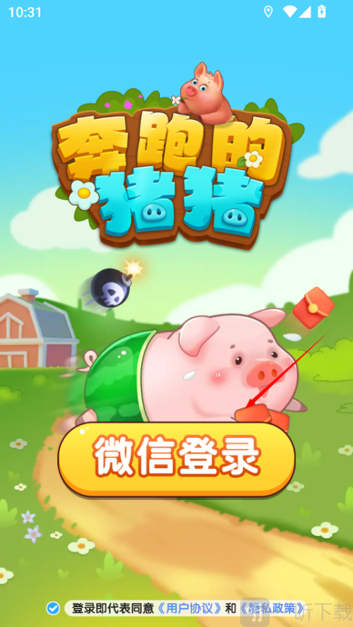 奔跑的猪猪