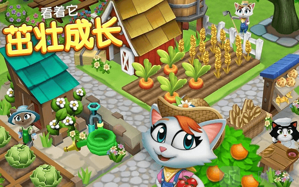 凯蒂小镇