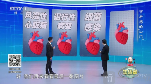 申小豹