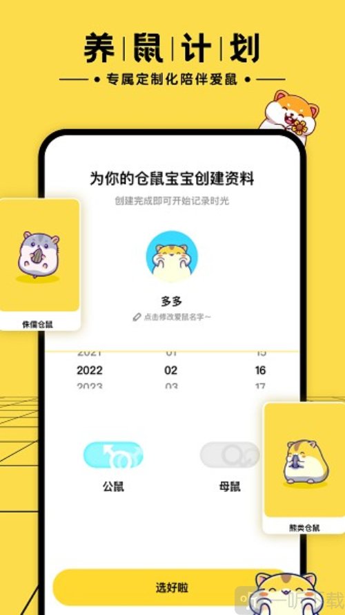 仓鼠日记