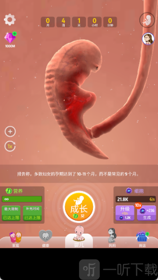 人类进化史