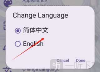 电梓播放器
